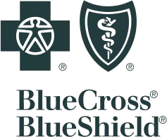 a close up of a black and white logo with a train