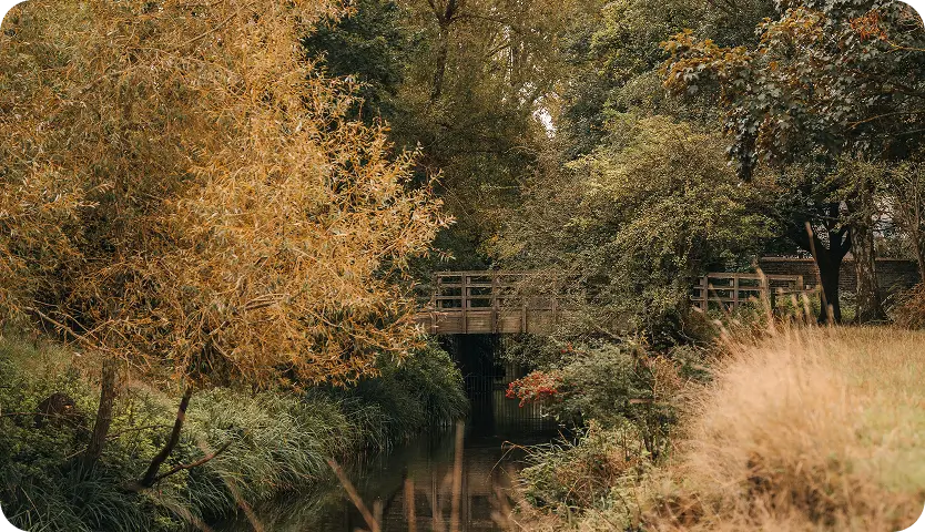 Tranquil autumn scene symbolizing balance and peace in mood disorder treatment at Willow Behavioral Health, Madison, WI.