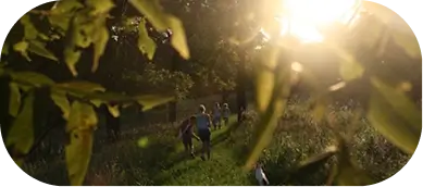 Sunlit path symbolizing hope and recovery, aligning with Willow Behavioral Health's addiction programs in Madison.